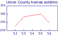Union county homes sold per month